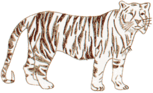 Der weisse Tiger